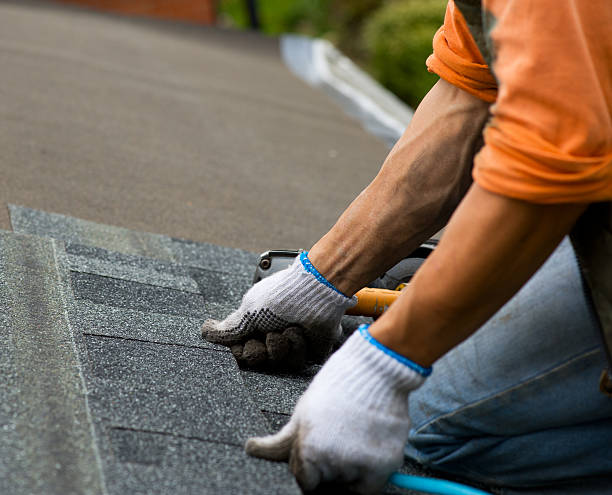 Best Commercial Roofing Services  in Braska City, NE