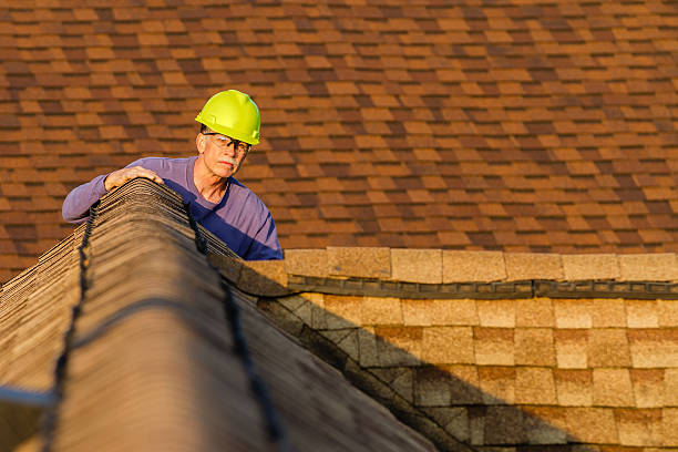 Best New Roof Installation  in Braska City, NE