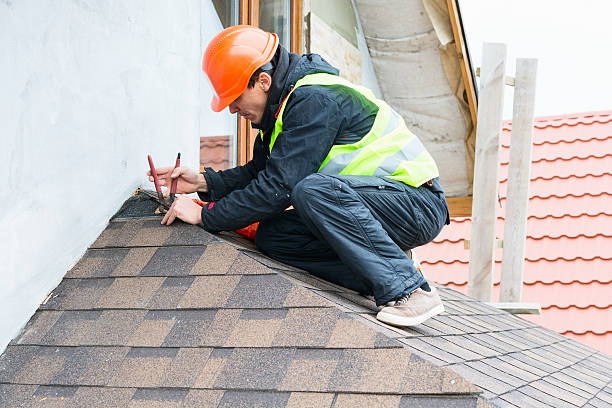 Best Residential Roofing Contractor  in Braska City, NE