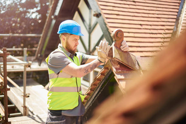 Best Roof Repair Services  in Braska City, NE