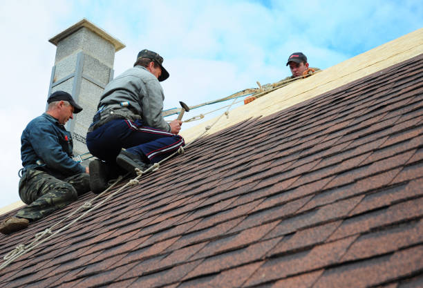 Best Residential Roofing Contractor  in Braska City, NE